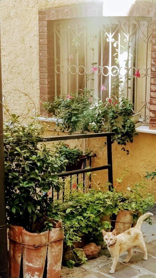 Casa Gaia Apartment